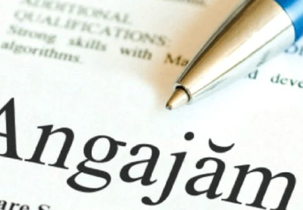 ---------Statul-nc-face-angajri-Numrul-anunurilor-cu-aproape-60-mai-mare-fa-de-anul-trecut---