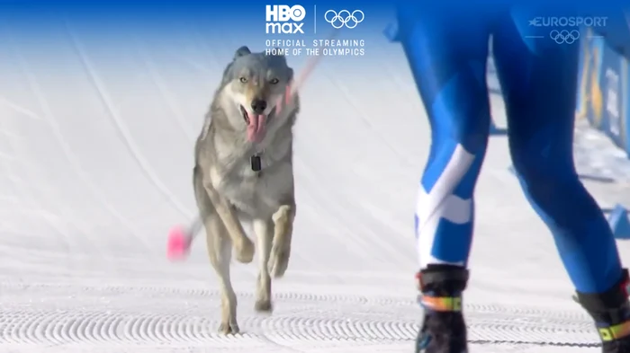 ---------Un-cine-i-a-fcut-de-cap-pe-prtia-de-schi-fond-de-la-Jocurile-Olimpice-A-fost-cel-mai-ciudat-lucru-care-s-a-ntmplat-pn-acum