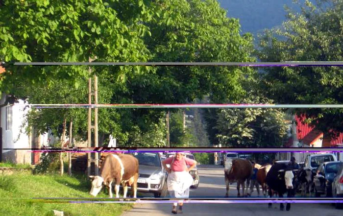 ---------ntr-o-comun-cu-166-de-locuitori-fr-ap-edilul-face-naveta-cu-un-elicopter-de-800000-de-dolari-Populaia-se-dubleaz-n-anii-electorali