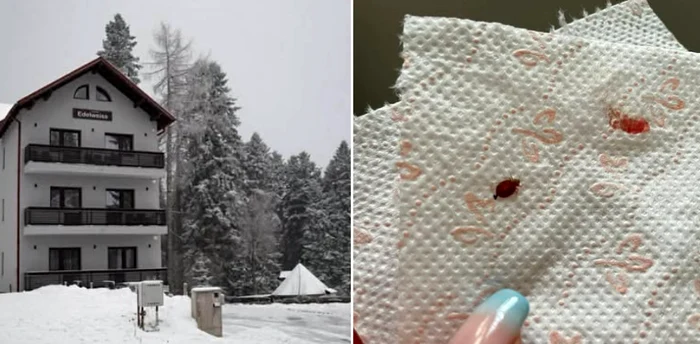 ---------Brbat-ajuns-la-spital-dup-ce-a-fost-picat-de-plonie-ntr-o-pensiune-din-Predeal-Nu-controleaz-nimeni-turitii-pe-corp