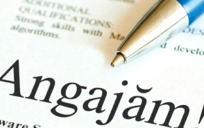 ---------Domeniile-care-caut-cu-disperare-specialiti-Ce-salarii-le-ofer