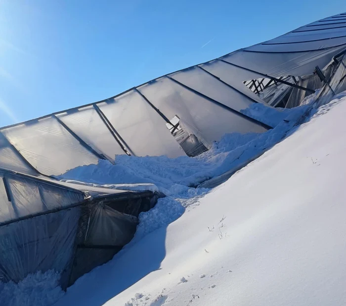 ---------Implicaiile-dezastrului-de-la-Glodeanu-Srat-Asigur-doar-serele-Iar-noi-am-fost-prea-sraci-s-facem-cu-firm-autorizat