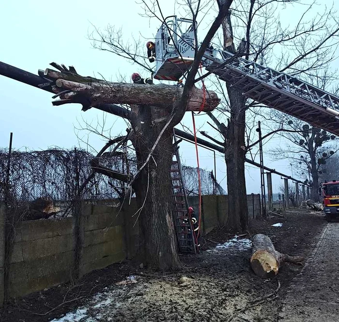 ---------Misiune-de-salvare-n-Neam-persoan-prins-sub-un-copac-trunchiul-czut-peste-o-eav-de-gaz-Victima-transportat-la-spital