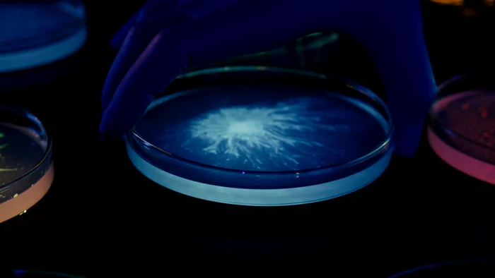 ---------Romnia-produce-cercetare-dar-nu-o-transform-n-soluii-pentru-economie-Irineu-Daru-Avem-nevoie-de-oameni-i-instituii-pregtite