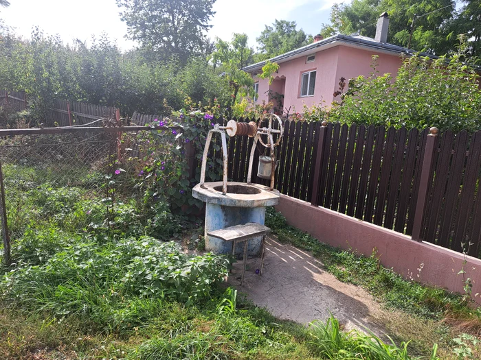 ---------Romnii-care-au-de-ales-ntre-ape-infestate-i-evi-secate-Multe-fntni-nu-mai-ap-potabil-iar-prin-reeaua-public-se-d-cu-poria