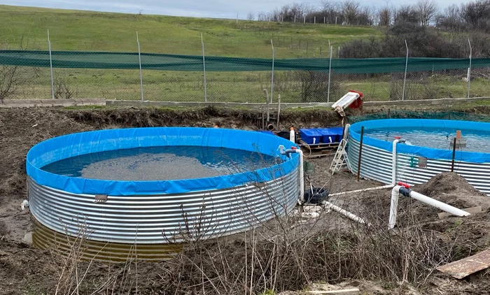 ---------Un-preot-a-schimbat-cursul-unui-ru-pentru-a-i-construi-ilegal-pstrvrie-N-am-tiut-c-am-nevoie-de-aviz-pentru-doi-peti