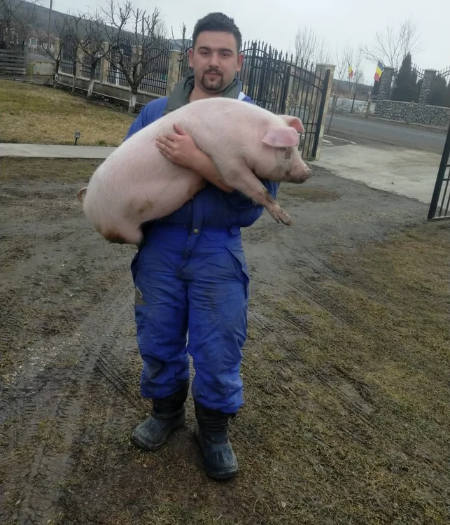 ---------Viceprimar-din-Mure-reinut-dup-o-urmrire-cu-poliia-era-beat-i-s-a-rsturnat-cu-maina-n-an