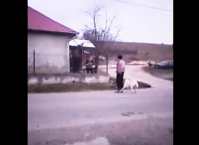 Video----------Scene-ocante-n-Bihor-o-femeie-a-btut-un-cine-pn-l-a-omort