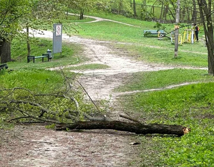 ---------Chiinul-lovit-de-vnt-puternic-un-om-a-murit-iar-cel-puin-patru-persoane-au-ajuns-la-spital