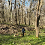 ---------Cum-i-petrece-Duminica-Floriilor-lidera-de-la-Chiinu-Cu-Cleo-i-Codru-la-plimbare