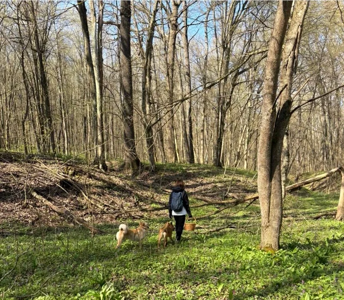 ---------Cum-i-petrece-Duminica-Floriilor-lidera-de-la-Chiinu-Cu-Cleo-i-Codru-la-plimbare