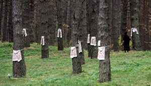 ---------Fntna-Alb-locul-care-sngereaz-de-85-de-ani-n-fiecare-primvar-Punea-era-plin-de-mori-i-rnii