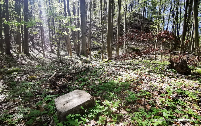 Video----------Enigmele-sanctuarului-de-la-Pustiosu-de-pe-Via-Transilvanica-Locul-tainic-al-dacilor-lng-fostele-mine-de-uraniu