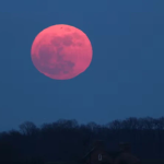 Video----------Primvara-vine-cu-dou-spectacole-cosmice-Cnd-pot-fi-observate-Luna-Roz-i-Luna-Albastr