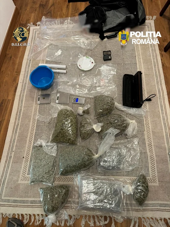 ---------Captur-de-droguri-pe-Autostrada-Soarelui-Peste-11-kilograme-de-canabis-descoperite-asupra-unui-tnr-care-urma-s-le-vnd-pe-litoral