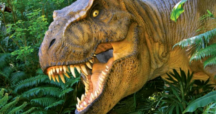 ---------Descoperire-uluitoare-despre-cel-mai-mare-T-Rex-gsit-vreodat-Ce-spun-cercettorii-despre-vasele-de-snge-ale-dinozaurului