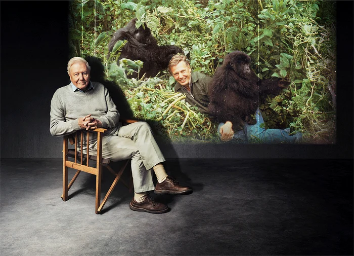 Exclusiv----------Sir-David-Attenborough-la-100-de-ani-Mike-Davis-productor-BBC-Pasiunea-autentic-este-cel-mai-bun-tonic-din-via