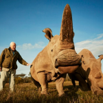 Foto----------50-de-specii-poart-numele-lui-Sir-David-Attenborough-de-la-plante-carnivore-la-reptile-preistorice