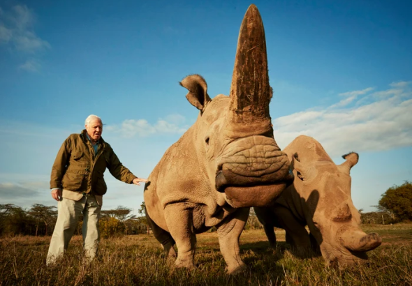 Foto----------50-de-specii-poart-numele-lui-Sir-David-Attenborough-de-la-plante-carnivore-la-reptile-preistorice