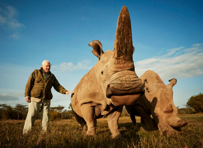 Foto----------50-de-specii-poart-numele-lui-Sir-David-Attenborough-de-la-plante-carnivore-la-reptile-preistorice
