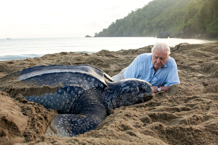 Foto----------Sir-David-Attenborough-la-100-de-ani-Povestea-omului-care-a-fost-vocea-naturii-i-a-adus-o-n-prime-time