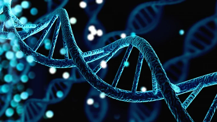 ---------Genetica-ar-putea-influena-succesul-mai-mult-dect-mediul-n-care-cretem-arat-un-studiu-pe-gemeni