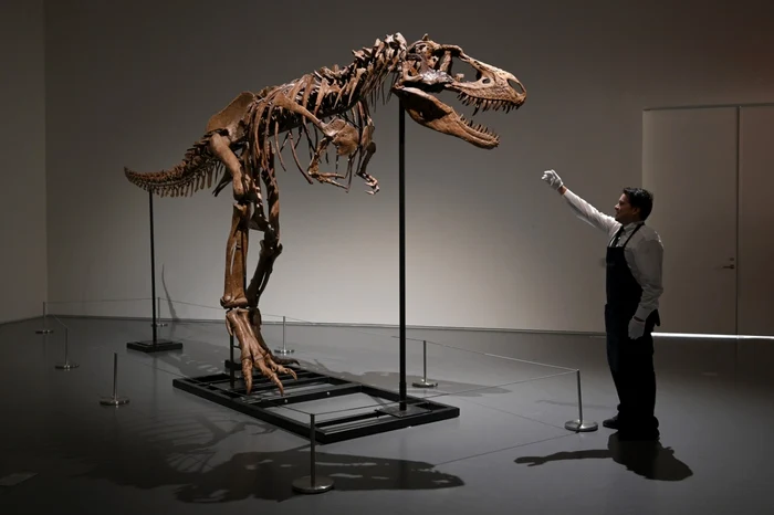 Cercetătorii explică de ce Tyrannosaurus rex avea brațe atât de mici