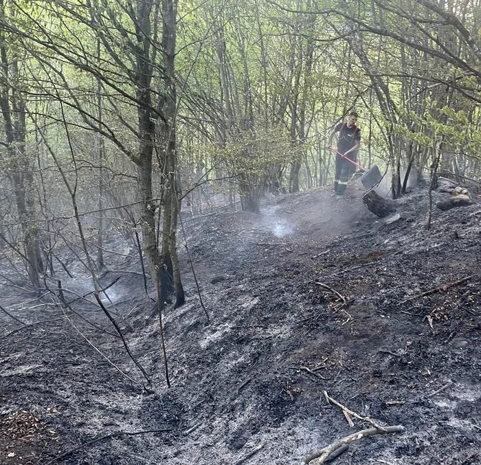 Incendiu de vegetaţie pe Valea Anieşului; intervenţia este dificilă din cauza terenului accidentat