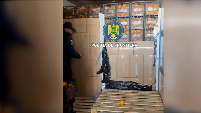Captură de peste șapte milioane de țigarete la Giurgiu, ascunse într-un transport de citrice
