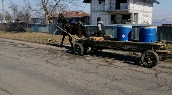 Un bărbat de 58 de ani, în comă după ce a fost târât circa 10 metri de un cal în județul Sibiu