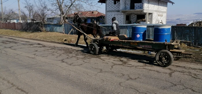 Un bărbat de 58 de ani, în comă după ce a fost târât circa 10 metri de un cal în județul Sibiu