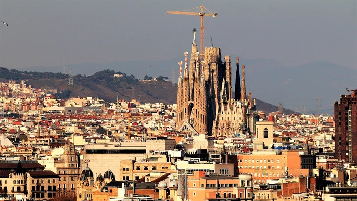 Barcelona va înlocui treptat peste 24.000 de platani până în 2037 pentru a diversifica arborii urbani