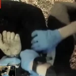 Imagini publice arată un student murind încătușat după ce fusese înjunghiat la Southampton