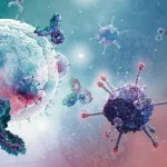 Cercetători israelieni identifică un nou tip de celule imunitare care „erup” pentru a neutraliza infecțiile
