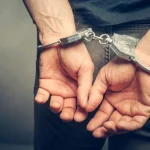 Bărbat din Diosig reținut după ce ar fi înjunghiat în mod repetat cu o furcă un câine al unei consătence