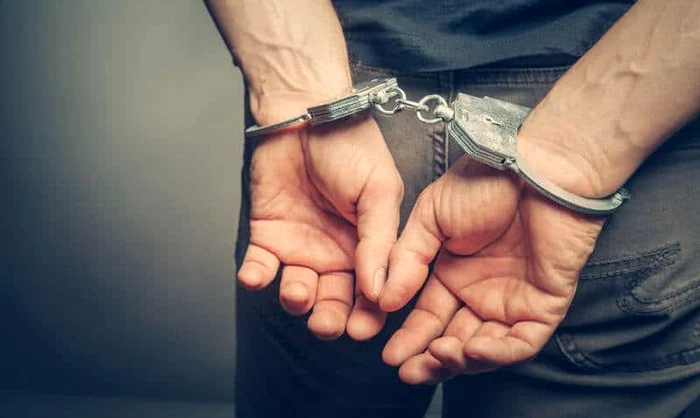 Bărbat din Diosig reținut după ce ar fi înjunghiat în mod repetat cu o furcă un câine al unei consătence