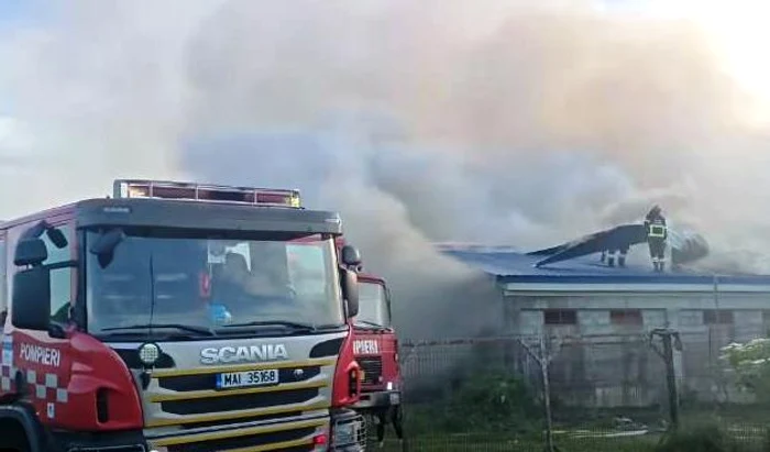 Incendiu la o fermă din Milișăuți: clădire afectată pe 3.000 mp, sute de porci expuși riscului