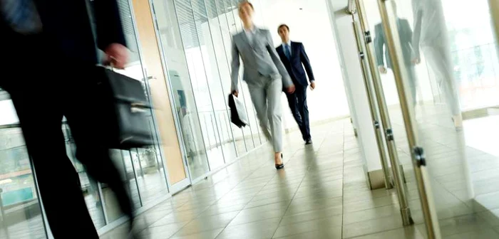 Investigație: Nereguli contabile și operaționale descoperite la Rajesh Exports, director plătit aproximativ 180 USD/lună