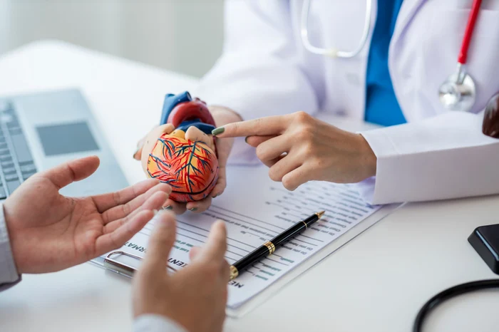 Bătăile inimii împiedică, în parte, dezvoltarea cancerului — cercetătorii au identificat mecanismul molecular