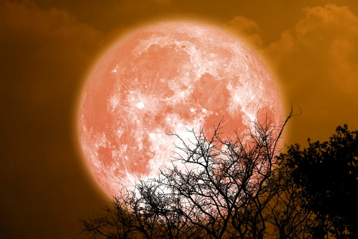 „Luna Căpșună” din iunie 2026 poate fi admirată în noaptea de 29 iunie