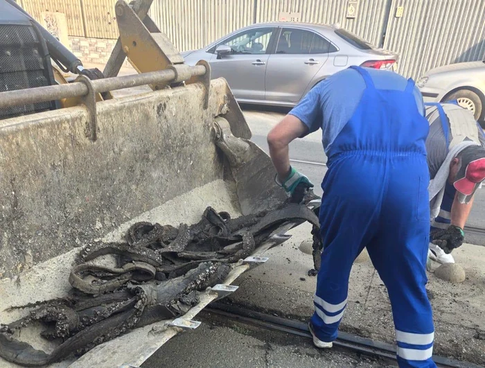 Canicula paralizează parțial transportul în Timișoara: mastic topit pe șine, restricții extinse pe drumuri naționale