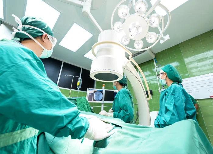 Premieră mondială: medici din China au transplantat simultan ficat și doi rinichi de porc unui pacient în moarte cerebrală