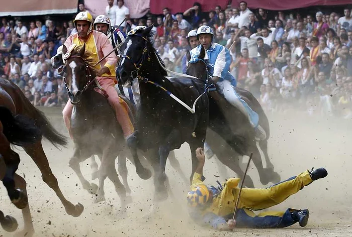 Clonarea cailor de elită intră în circuitul competițional și declanșează dezbateri în sporturile ecvestre