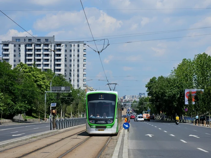 Încep lucrările de amenajare pe Calea Văcărești: peste 300 de arbori plantați în scuarul central