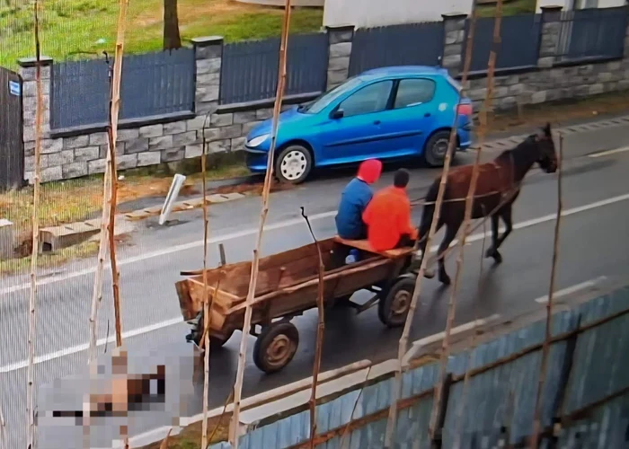 Bărbat din Condeşti reţinut după ce ar fi legat şi târât un câine până la moarte
