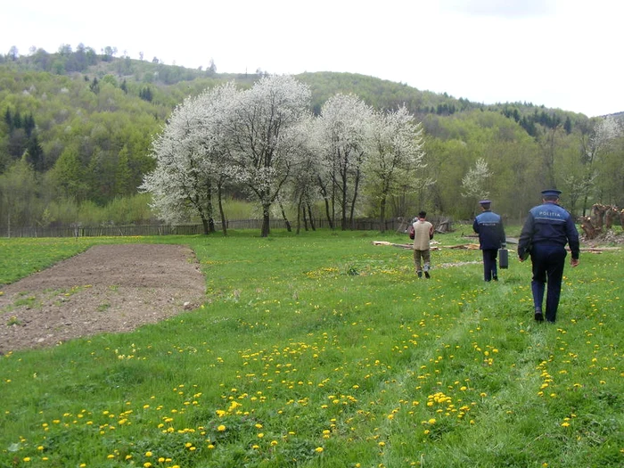 Adolescent de 15 ani găsit mort pe un câmp în Cicârlău, anchetă în curs în Maramureș