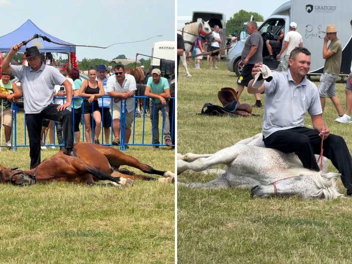 Indignare la Târgul de Cai Medieșu Aurit: proprietar filmat în timp ce își maltratează animalele