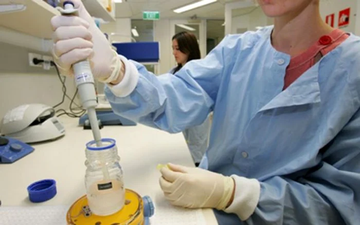 Primăria Sectorului 2 prelungește programul de sprijin financiar pentru fertilizare in vitro, 2026–2028