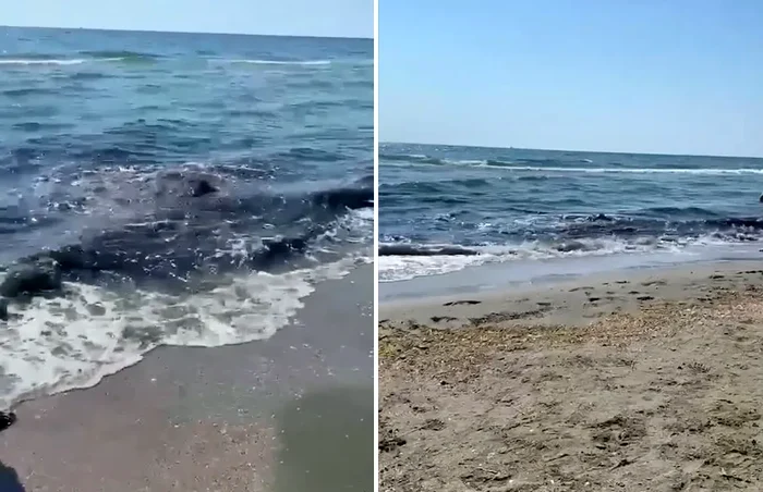Alertă pe litoral: turiști reclamă apă colorată și miros puternic în Mamaia Nord