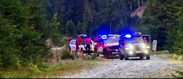 Cioban de 47 de ani atacat de urs în masivul Iezer-Păpușa; evacuat de salvamontişti şi jandarmi şi preluat de SMURD